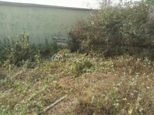 Land Land for Sale Ajah Lagos Vetra  Property