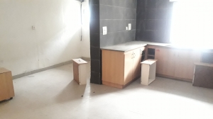 Image 1 Title