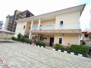 Image 1 Title