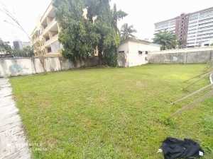 Image 1 Title