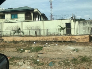 Image 1 Title