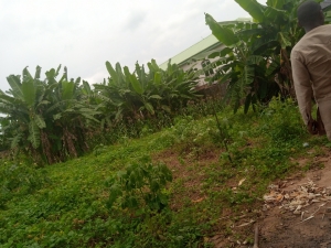 Image 1 Title