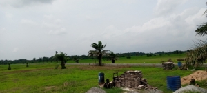 Image 1 Title