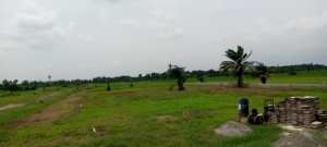 Image 1 Title