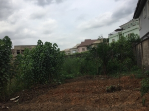 Image 1 Title