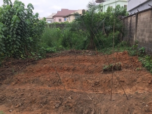 Image 1 Title