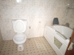 Image 1 Title