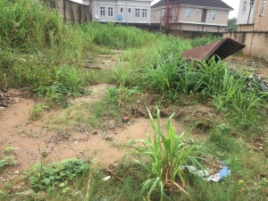Image 1 Title
