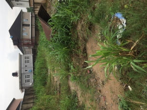 1 Full Plot Of Land (dry And Table Land) 1 Plot of Land for Sale Arepo Ogun Vetra  Property