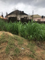 Dry Land With A Duplex Structure Land for Sale Arepo Ogun Vetra  Property