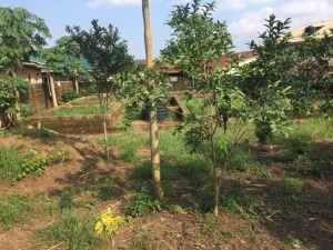 Dry Land Fenced Round With Gate On A Serene Close Land for Sale Obafemi Owode Ogun Vetra  Property