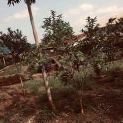 Image 1 Title