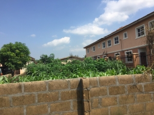 Image 1 Title