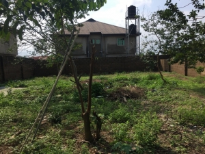 A Plot Of Land Fenced Round With Gate 1 Plot of Land for Rent Ojodu Lagos Vetra  Property