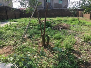 Image 1 Title