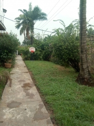 Image 1 Title