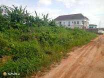 600sqm On A Dry Land 600 Meter Square of Land for Sale Ipaja Lagos Vetra  Property