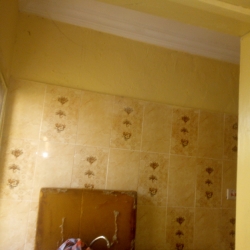 Image 1 Title