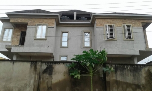 Image 1 Title