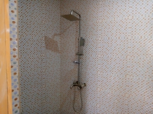 Image 1 Title