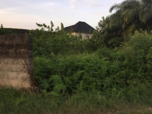 Half Plot Of Land  1 Plot of Land for Sale Arepo Ogun Vetra  Property