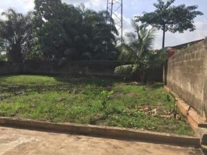 Image 1 Title