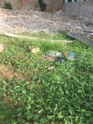 1 Full Plot O Land With Cofo In Magodo Shangisha, Gra Phase 2 1 Plot of Land for Sale Kosofe Ikosi Lagos Vetra  Property