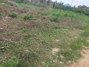 Half Plot Of Land In Mowe 1 Plot of Land for Sale Obafemi Owode Ogun Vetra  Property