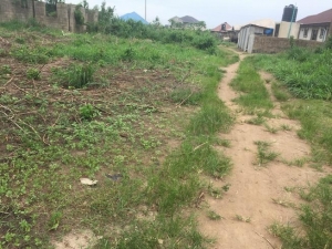 Half Plot Of Land Near Ibafo Bus Stop 1 Plot of Land for Sale Obafemi Owode Ogun Vetra  Property