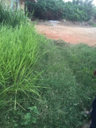 1 Full Plot Of Land 1 Plot of Land for Sale Obafemi Owode Ogun Vetra  Property