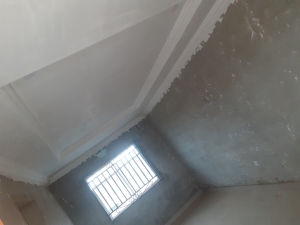 Image 1 Title