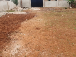 Image 1 Title