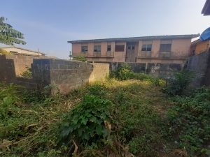 Image 1 Title