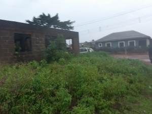 9 Nos Of Mini Flat Uncompleted At Aiyetoro 9 bedroom Detached Bungalow for Sale Ipaja Lagos Vetra  Property