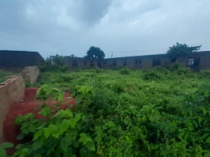 Image 1 Title