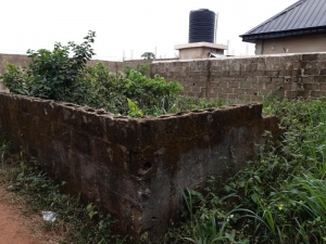 Image 1 Title
