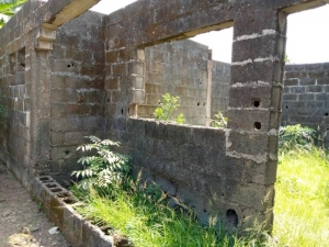 Image 1 Title