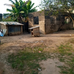 Image 1 Title