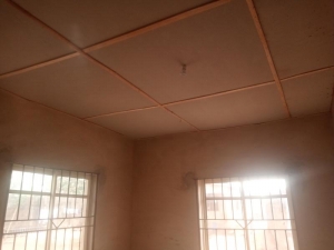 Image 1 Title