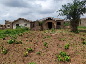 Uncompleted 3 Bedroom Flat Setback On A Full Plot Of Land  3 bedroom Flat for Sale Ipaja Lagos Vetra  Property