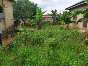 Land 23ft By 100ft In A Decent Area  2,300 Foot Square of Land for Sale Ipaja Lagos Vetra  Property