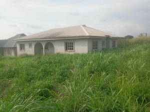 Image 1 Title