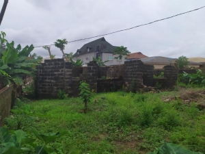 Image 1 Title