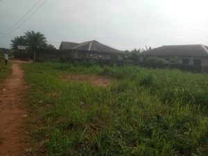 Image 1 Title
