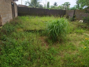 Nice Full Plot Of Land At Command Ipaja  1 Plot of Land for Sale Ipaja Lagos Vetra  Property