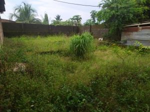 Image 1 Title