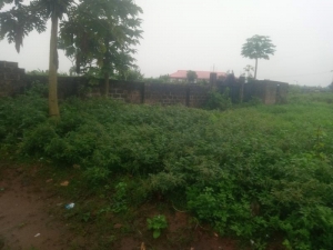 Fine 2 Plot Together At Ikola Command Ipaja 2 Plots of Land for Sale Ipaja Lagos Vetra  Property