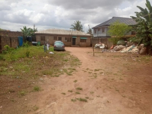 Image 1 Title