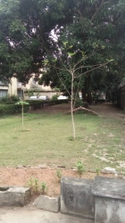 Image 1 Title