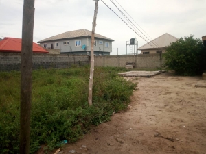 Image 1 Title